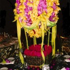Orchids styled as a hot air balloon, Thomas Burak, NYC New York
